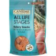 All Life Stages Bakery Snack Dog Treats on Sale