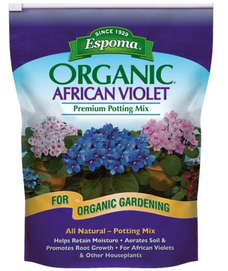 African Violet Mix Sale