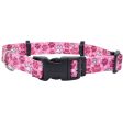 Coastal Pet SecureAway Flea Collar Protectors Online