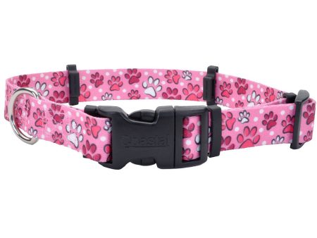 Coastal Pet SecureAway Flea Collar Protectors Online