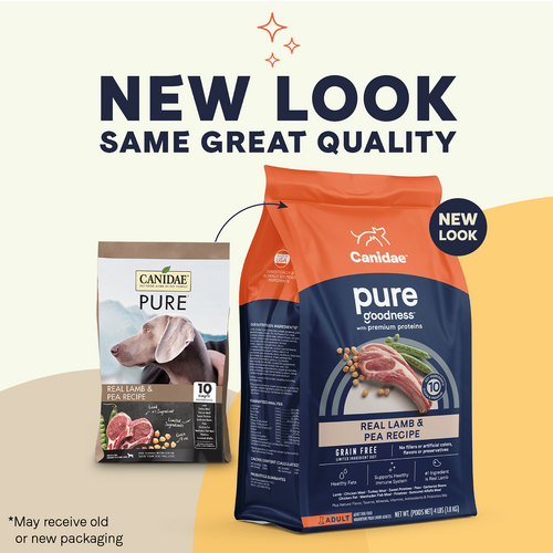 Canidae PURE Grain Free, Limited Ingredient Dry Dog Food, Lamb and Pea For Cheap