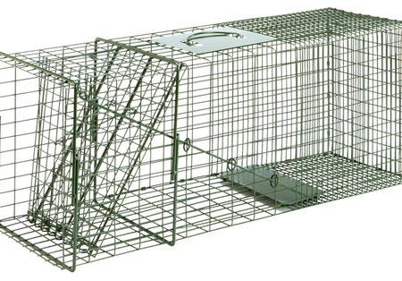 Duke Pecan # 3-1 Cage Trap Discount