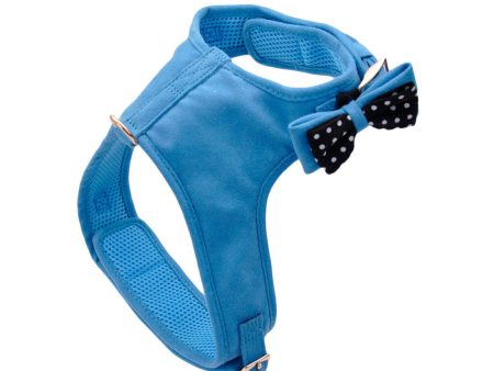 Coastal Pet Products Accent Microfiber Dog Harness Supply