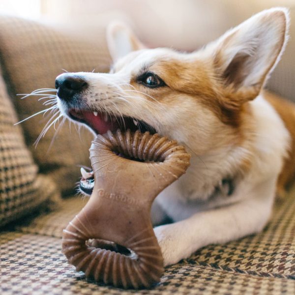 Benebone Bacon Dental Chew Discount