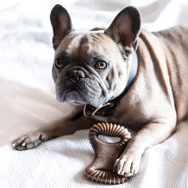 Benebone Peanut Butter Dental Chew Fashion